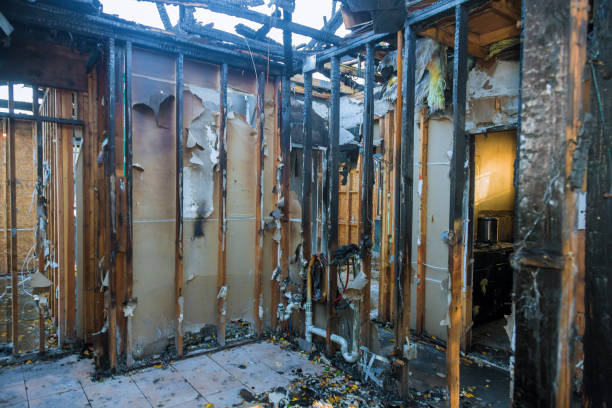 Professional Fire Damage Removal technician working in Palmer Heights, PA
